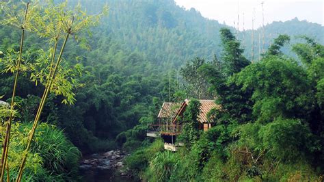 岐嶺村怎麼樣，那裡的自然景觀是否能夠成為一個獨特的生態旅遊目的地？